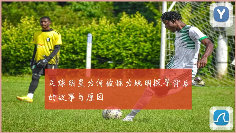 足球明星为何被称为姚明探寻背后的故事与原因