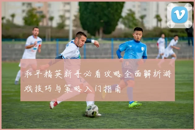 和平精英新手必看攻略全面解析游戏技巧与策略入门指南