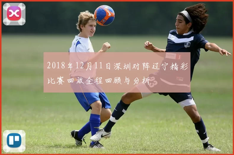 2018年12月11日深圳对阵辽宁精彩比赛回放全程回顾与分析
