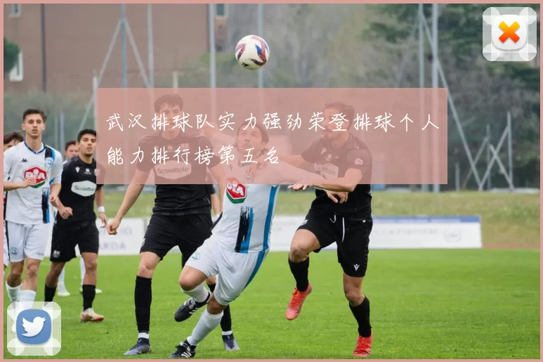 武汉排球队实力强劲荣登排球个人能力排行榜第五名