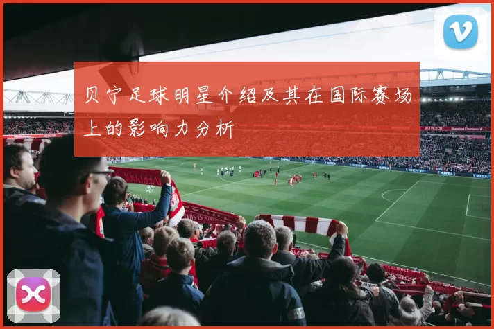 贝宁足球明星介绍及其在国际赛场上的影响力分析