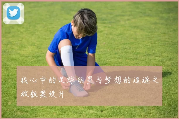 我心中的足球明星与梦想的追逐之旅教案设计