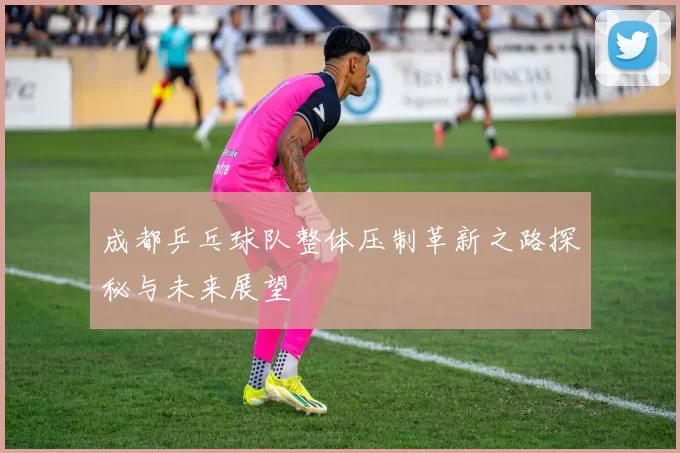 成都乒乓球队整体压制革新之路探秘与未来展望