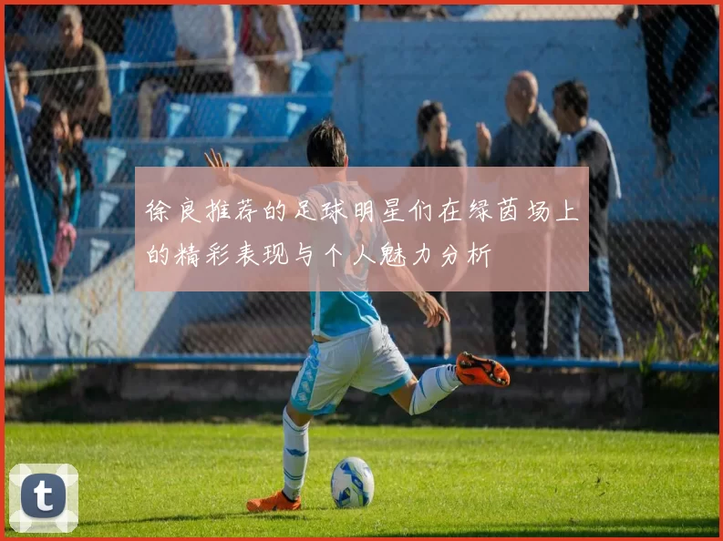 徐良推荐的足球明星们在绿茵场上的精彩表现与个人魅力分析