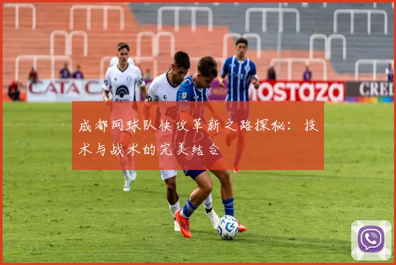 成都网球队快攻革新之路探秘：技术与战术的完美结合
