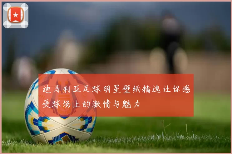 迪马利亚足球明星壁纸精选让你感受球场上的激情与魅力