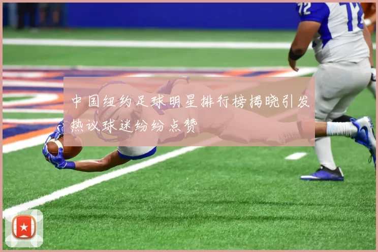 中国纽约足球明星排行榜揭晓引发热议球迷纷纷点赞