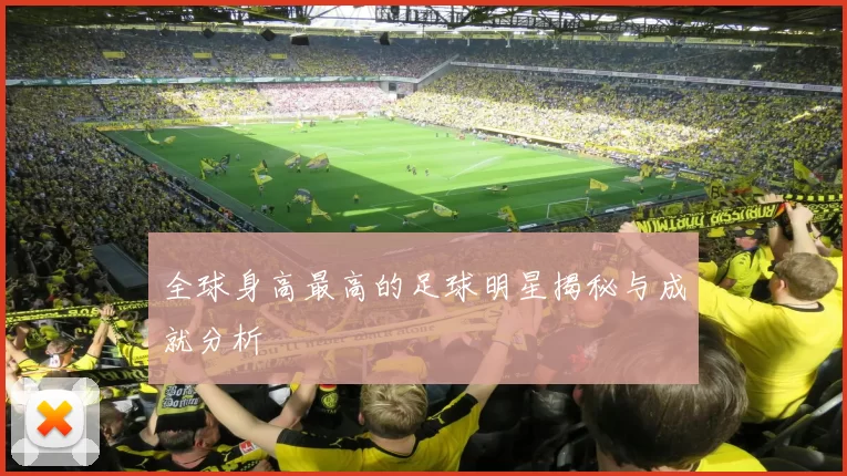 全球身高最高的足球明星揭秘与成就分析