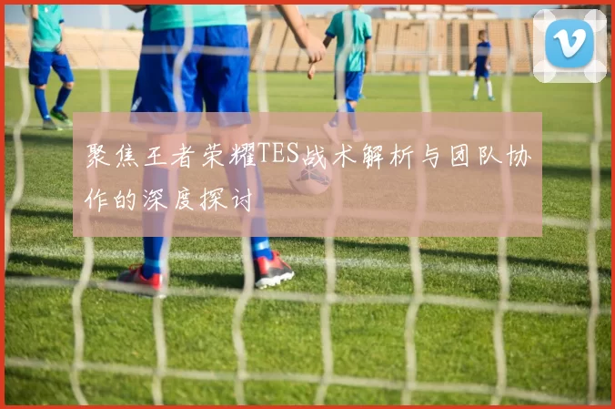 聚焦王者荣耀TES战术解析与团队协作的深度探讨