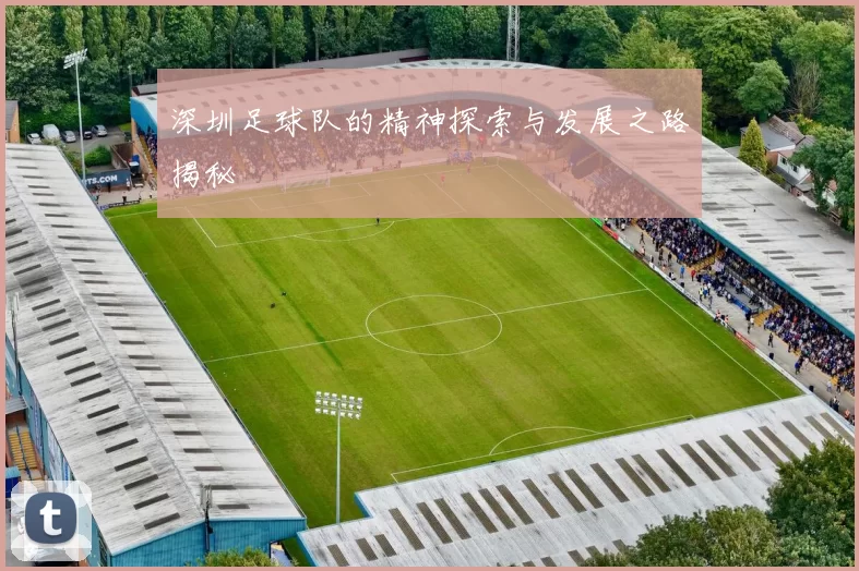 深圳足球队的精神探索与发展之路揭秘