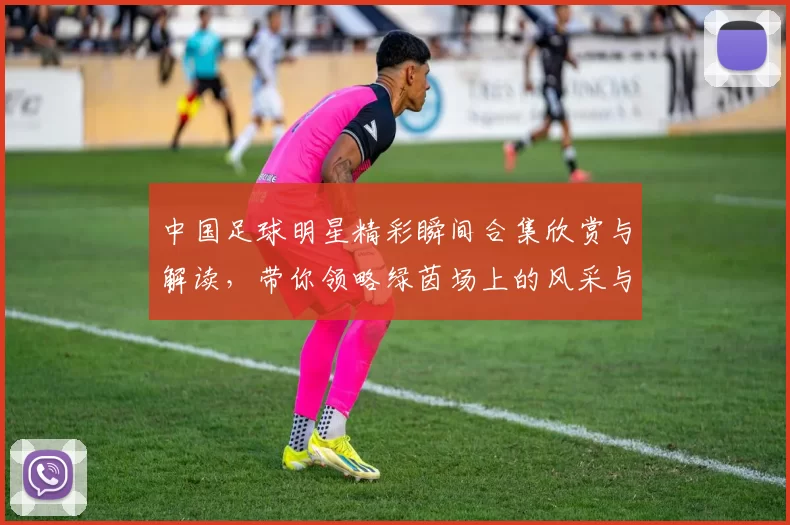 中国足球明星精彩瞬间合集欣赏与解读，带你领略绿茵场上的风采与荣耀