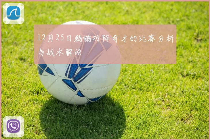 12月25日鹈鹕对阵奇才的比赛分析与战术解读