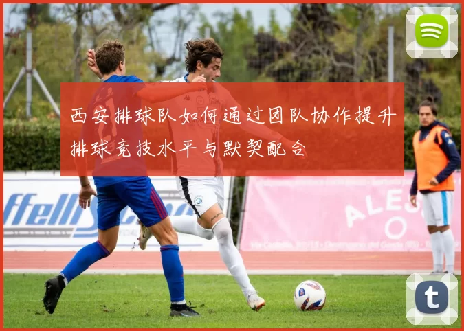 西安排球队如何通过团队协作提升排球竞技水平与默契配合
