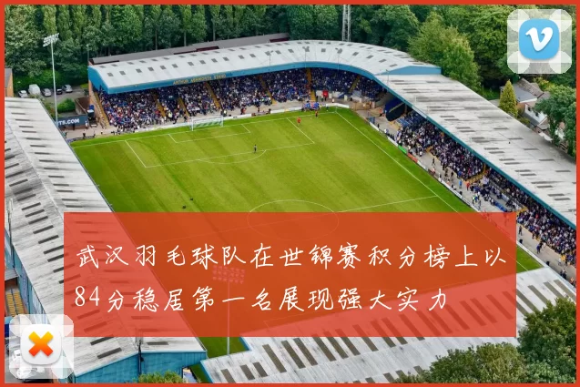 武汉羽毛球队在世锦赛积分榜上以84分稳居第一名展现强大实力