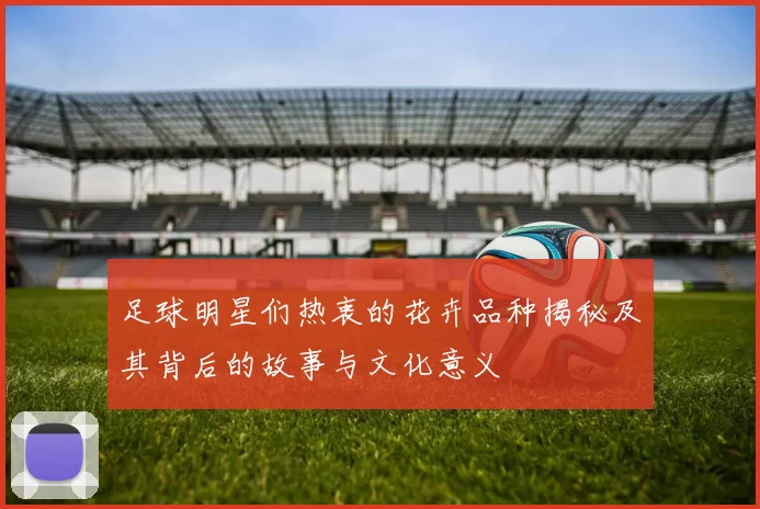 足球明星们热衷的花卉品种揭秘及其背后的故事与文化意义