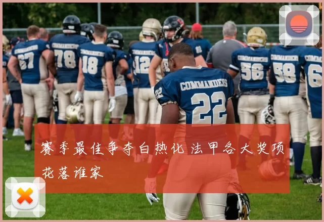 赛季最佳争夺白热化 法甲各大奖项花落谁家