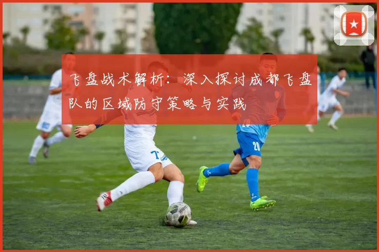 飞盘战术解析：深入探讨成都飞盘队的区域防守策略与实践