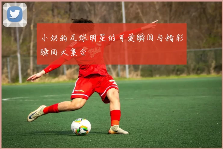 小奶狗足球明星的可爱瞬间与精彩瞬间大集合